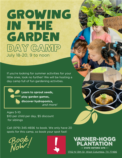 Flyer-Summer Camp-VH Plantation